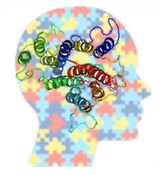 autism and genetics