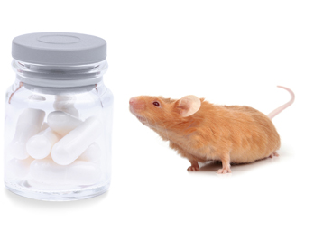 Alzheimers Drug?