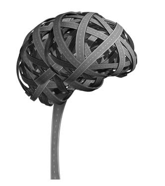 brain networks in early alzheimers