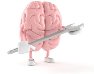 diy brain makeover