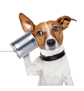 communication skills