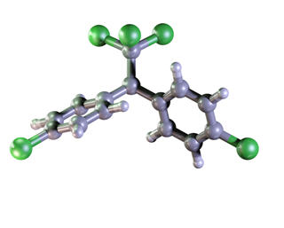 ddt model