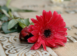 grief and loss