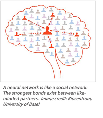 neural network connections