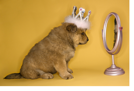 parenting narcissistic children