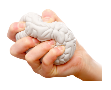 brain plasticity how it works