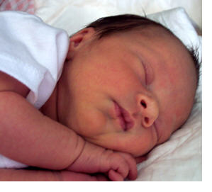 Infant Brain Development
