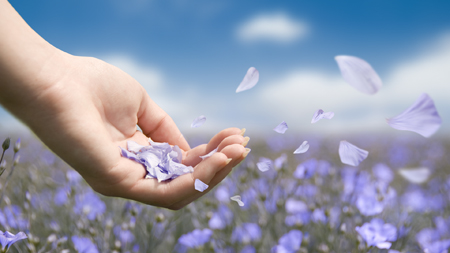 what is forgiveness